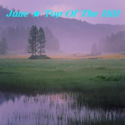 Top Of The Hill