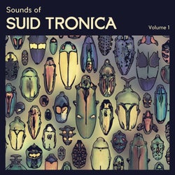 Sounds Of Suid Tronica // Vol 1