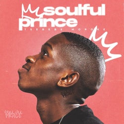 Hoesafbeelding voor Soulful Prince (Tech Mix)