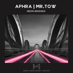 Neon Bridges