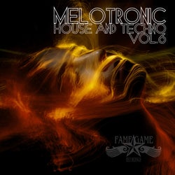 Melotronic House and Techno, Vol. 6