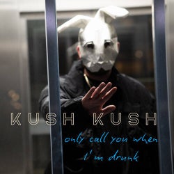 only call you when i´m drunk (Extended Mix)