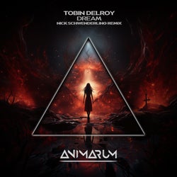 Dream (Nick Schwenderling Extended Remix)