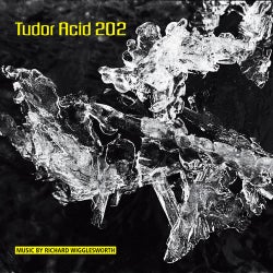 Tudor Acid 202