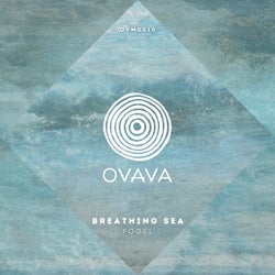 Breathing Sea