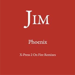 Phoenix (X-Press 2 On Fire Remixes)