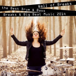 Wall of Breaks - the Best Drum & Bass, Breaks & Big Beat Music 2014