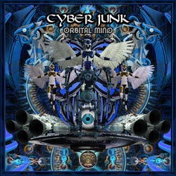 Cyber Junk