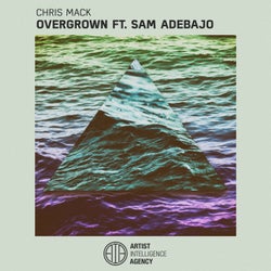 Overgrown (feat. Sam Adebajo)