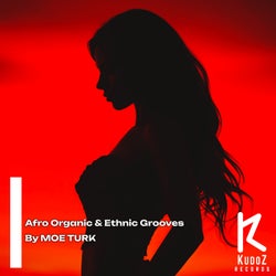 Afro Organic & Ethnic Grooves By Moe Turk