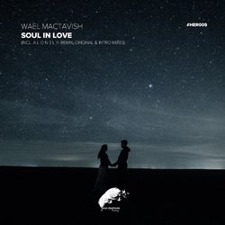 Soul in Love & Remixed