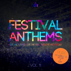 Festival Anthems Vol. 11