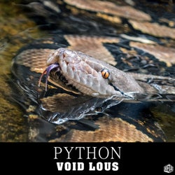 Python