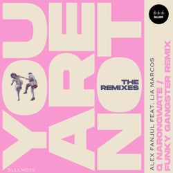 You Are Not (The Remixes)
