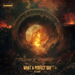 What A Perfect Day - Extended Mix
