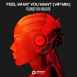 Feel What You Want (VIP Mix)