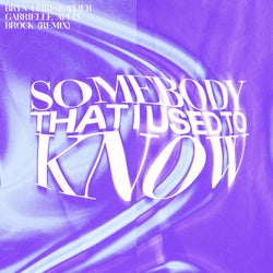 Somebody That I Used To Know (brock Remix)