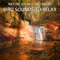 Bird Sounds to Relax