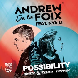 Possibility (Andy & Dave Remix)