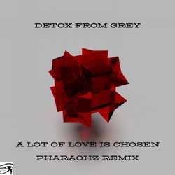 A Lot of Love Is Chosen (Pharaohz Remix)