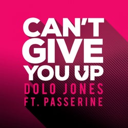 Can't Give You Up featuring Passerine
