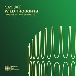 Wild Thoughts (Kamelon and Aressa Remixes)