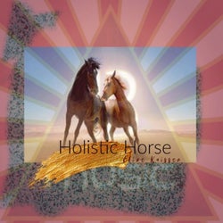 Holistic Horse (Radio Edit)