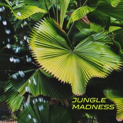 Jungle Madness