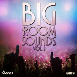 Big Room Sounds, Vol. 1