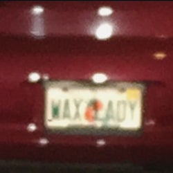 Wax Lady