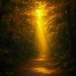 Under Your Light