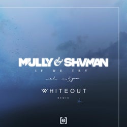 If We Try (Whiteout Remix)