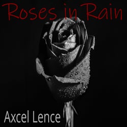 Roses in Rain