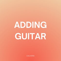 Adding Guitar