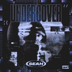 Undercover (Extended Mix)