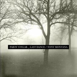 The Last Dance / Tony Montana