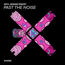 Past the Noise