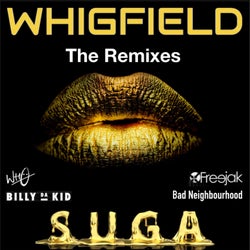 SUGA - The Remixes
