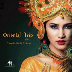 Oriental Trip, Vol. 4 (Compiled by Dj Brahms)