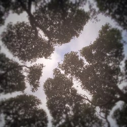 Patterns