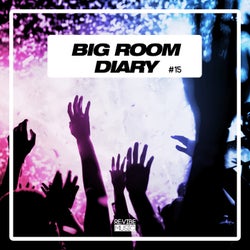 Big Room Diary, Vol. 15