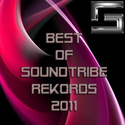 Best Of Soundtribe Rekords 2011