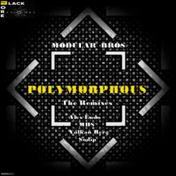 Polymorphous The Remixes