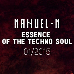 Essence of The Techno Soul (01-2015)