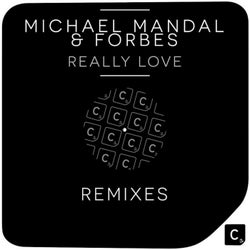 Really Love - Remixes
