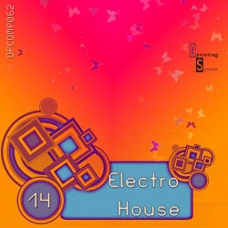 Electro House 14