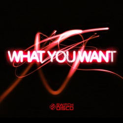 WHAT YOU WANT (Extended Mix)