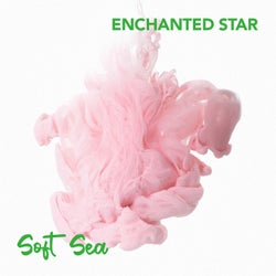 Enchanted Star