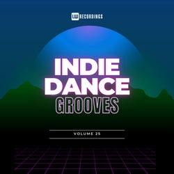 Indie Dance Grooves, Vol. 25