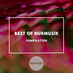 Best of Nurmusik